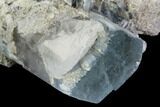 Aquamarine/Morganite Crystal in Albite Crystal Matrix - Pakistan #111362-2